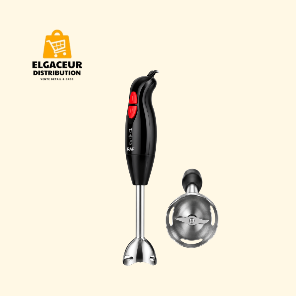 Mixeur plongeant RAF R.325B