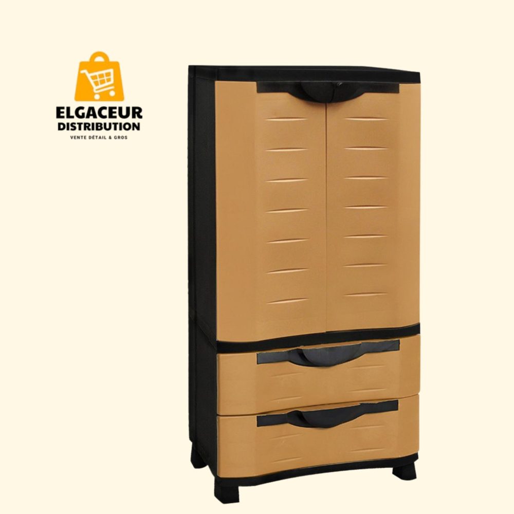 Armoire Commode Texas 2T