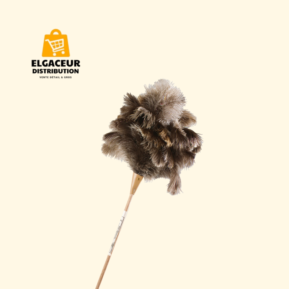 Plumeaux en plumes