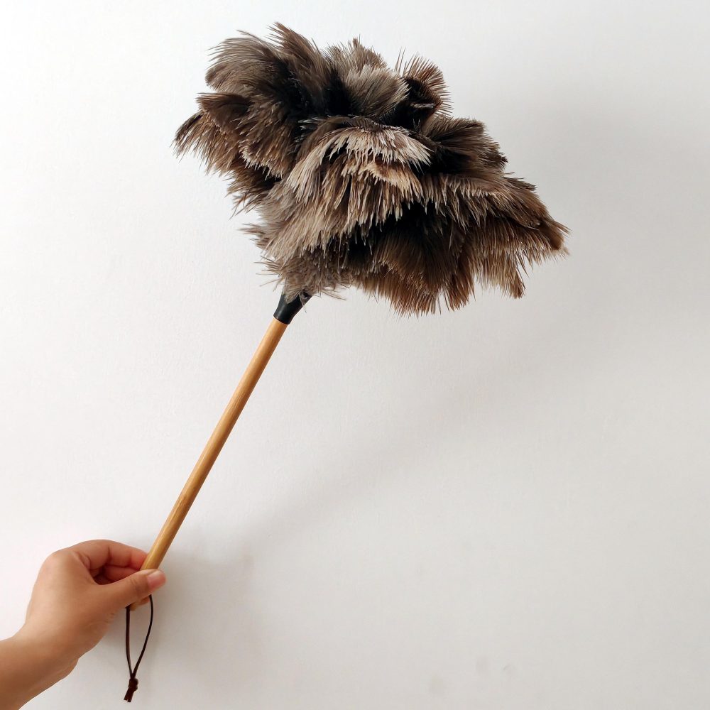 Plumeaux en plumes